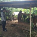 Ketahanan Pangan dari Rumah: Polri Ajak Warga Tanam Sayur di Pekarangan