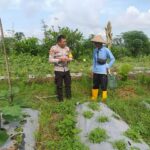 Bhabinkamtibmas Desa Jagaraga Aktif Sosialisasi Ketahanan Pangan, Warga Antusias Menyambut