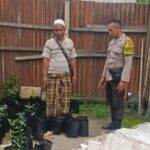 Ketahanan Pangan Nasional Dimulai dari Pekarangan Rumah: Inisiatif Polsek Kuripan
