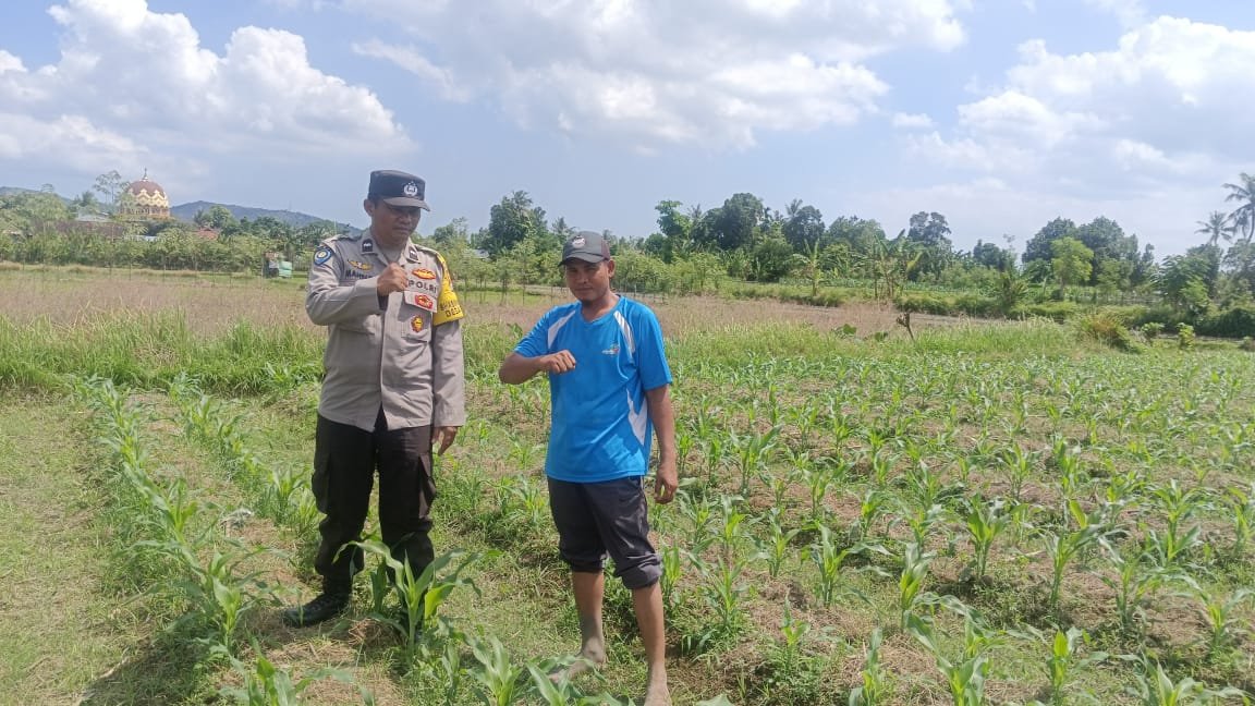 Sinergi Polri dan Petani: Polsek Gerung Galakkan Pemanfaatan Lahan Pekarangan untuk Pangan Bergizi