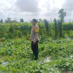 Polri Dukung Ketahanan Pangan di Desa Beleka Lombok Barat