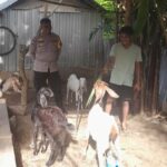 Bhabinkamtibmas Senggigi Gencarkan Edukasi Ketahanan Pangan di Dusun Krandangan