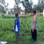 Ketahanan Pangan Desa Kuripan Didukung Langsung Aparat Kepolisian