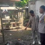 Kuripan Selatan Gerakkan Pekarangan Mandiri untuk Ketahanan Pangan