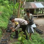 Membangun Ketahanan Pangan dari Pekarangan Rumah, Kisah Inspiratif dari Desa Batulayar (1)