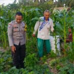 Petani Kuripan Utara Terapkan Inovasi Pertanian Didukung Polri