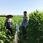 Polri dan Petani Bersinergi Wujudkan Ketahanan Pangan di Lembar, Lombok Barat