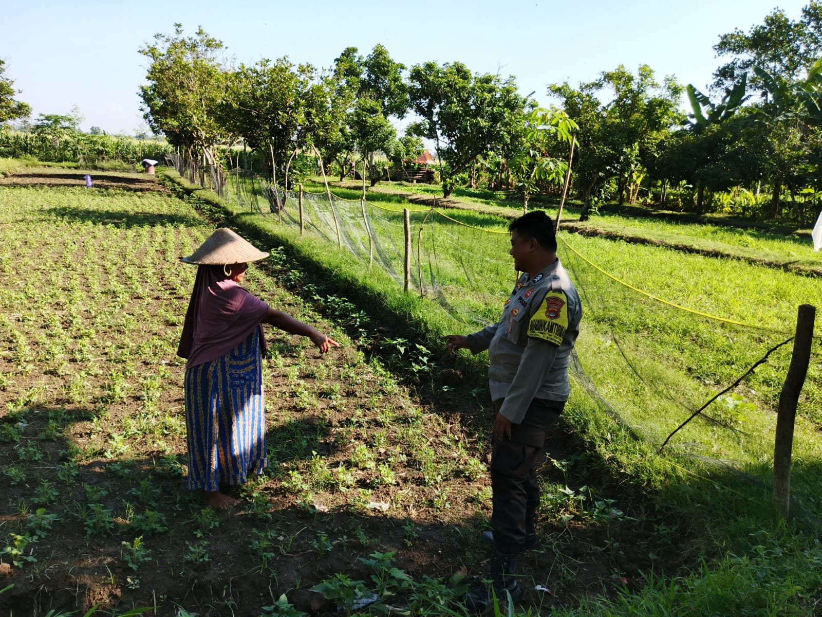 Polri di Lombok Barat Galakkan Ketahanan Pangan Skala Rumah Tangga