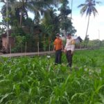 Pendekatan DDS Jadi Strategi Polri Bangun Kamtibmas Pertanian