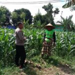 Dukung Ketahanan Pangan, Polisi Ajak Petani Manfaatkan Lahan Kosong