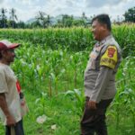 Polres Lombok Barat Dorong Ketahanan Pangan Desa Jembatan Gantung