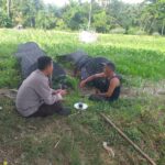 Polres Lombok Barat Dukung Petani Wujudkan Ketahanan Pangan di Lembar