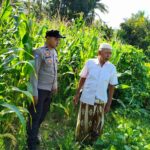 Langkah Strategis Polri Jaga Ketahanan Pangan di Desa Mareje Timur