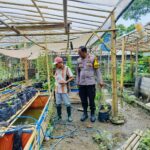 Bhabinkamtibmas Desa Bajur Dorong Kemandirian Pangan Warga Tempit