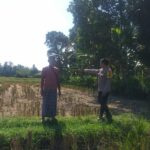 Bhabinkamtibmas Desa Jagaraga Dorong Kemandirian Pangan dari Pekarangan Warga