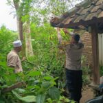 Ketahanan Pangan Dimulai dari Desa: Aksi Humanis Polri di Sekotong, Lombok Barat