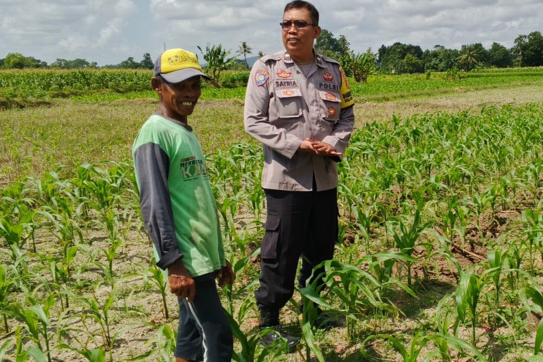 Bhabinkamtibmas Telagawaru Dorong Ketahanan Pangan Warga Paok Kambut