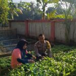 KWT Dusun Pemangket Ubah Pekarangan Jadi Kebun Sayur Produktif di Kuripan Utara