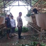 Kuripan Timur Dorong Kemandirian Pangan Lewat Pendampingan Warga