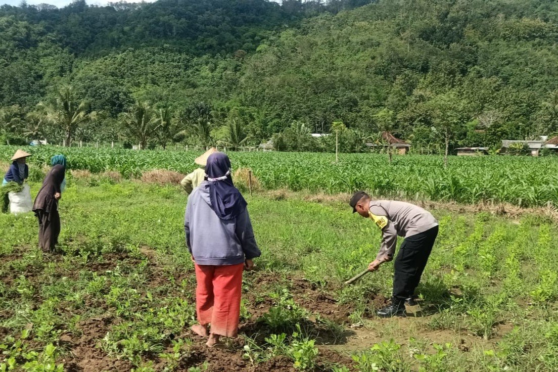 Sinergi Polisi-Warga Kuripan, Ketahanan Pangan Dimulai dari Pekarangan
