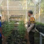 Sinergi Polsek Batulayar dan Warga untuk Pangan Mandiri