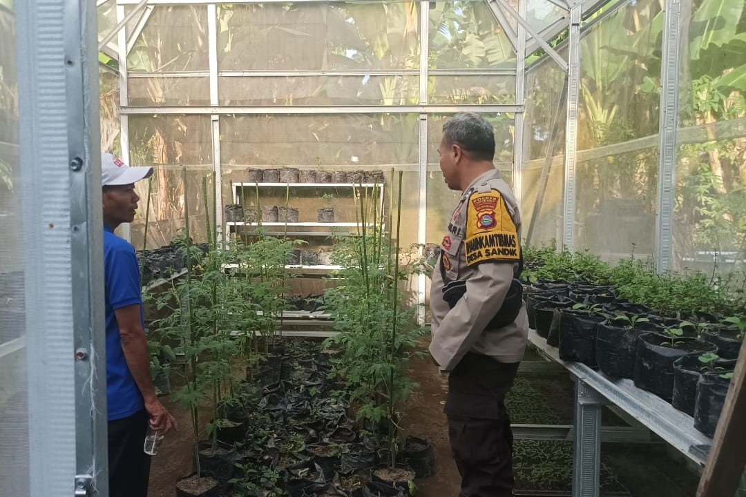 Sinergi Polsek Batulayar dan Warga untuk Pangan Mandiri