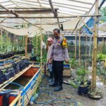 Bhabinkamtibmas Ajak Warga Dusun Tempit Tanam Sayur di Pekarangan Rumah