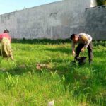 Polri di Lombok Barat Gencarkan Pemanfaatan Lahan Tidur untuk Ketahanan Pangan