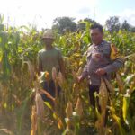 Bhabinkamtibmas Dorong Pemanfaatan Lahan untuk Ketahanan Pangan di Dusun Tambang Eleh