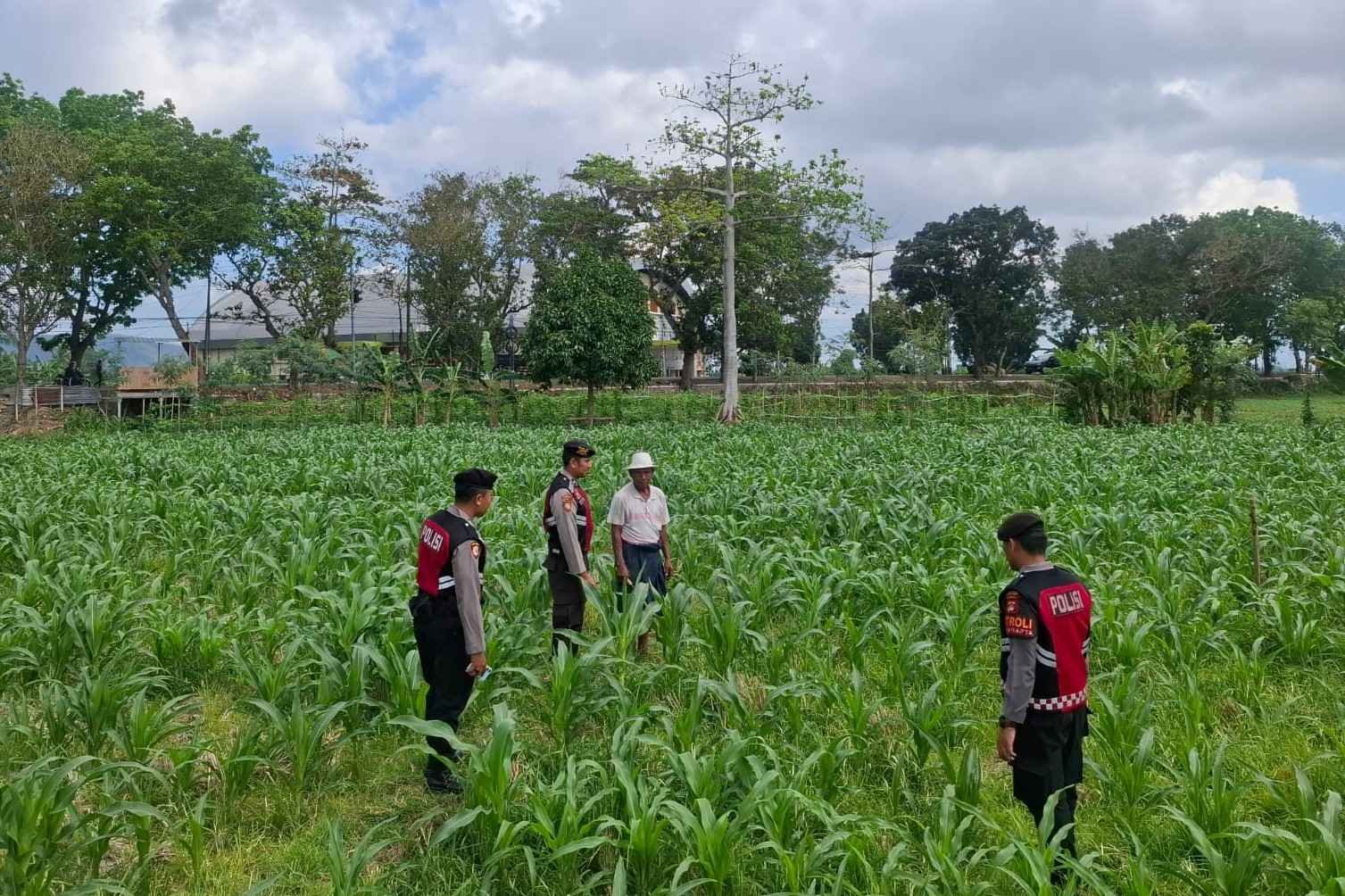 Polres Lombok Barat Dampingi Petani Gerung Utara, Dukung Swasembada Pangan