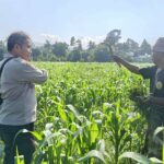 Polsek Batulayar Ajak Masyarakat Perempung Maksimalkan Lahan untuk Ketahanan Pangan