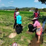 Polsek Kuripan Dukung Ketahanan Pangan Lewat Patroli di Lahan Jagung
