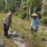 Polsek Labuapi Ajak Warga Desa Kuranji Wujudkan Kemandirian Pangan Lewat Pertanian Pekarangan