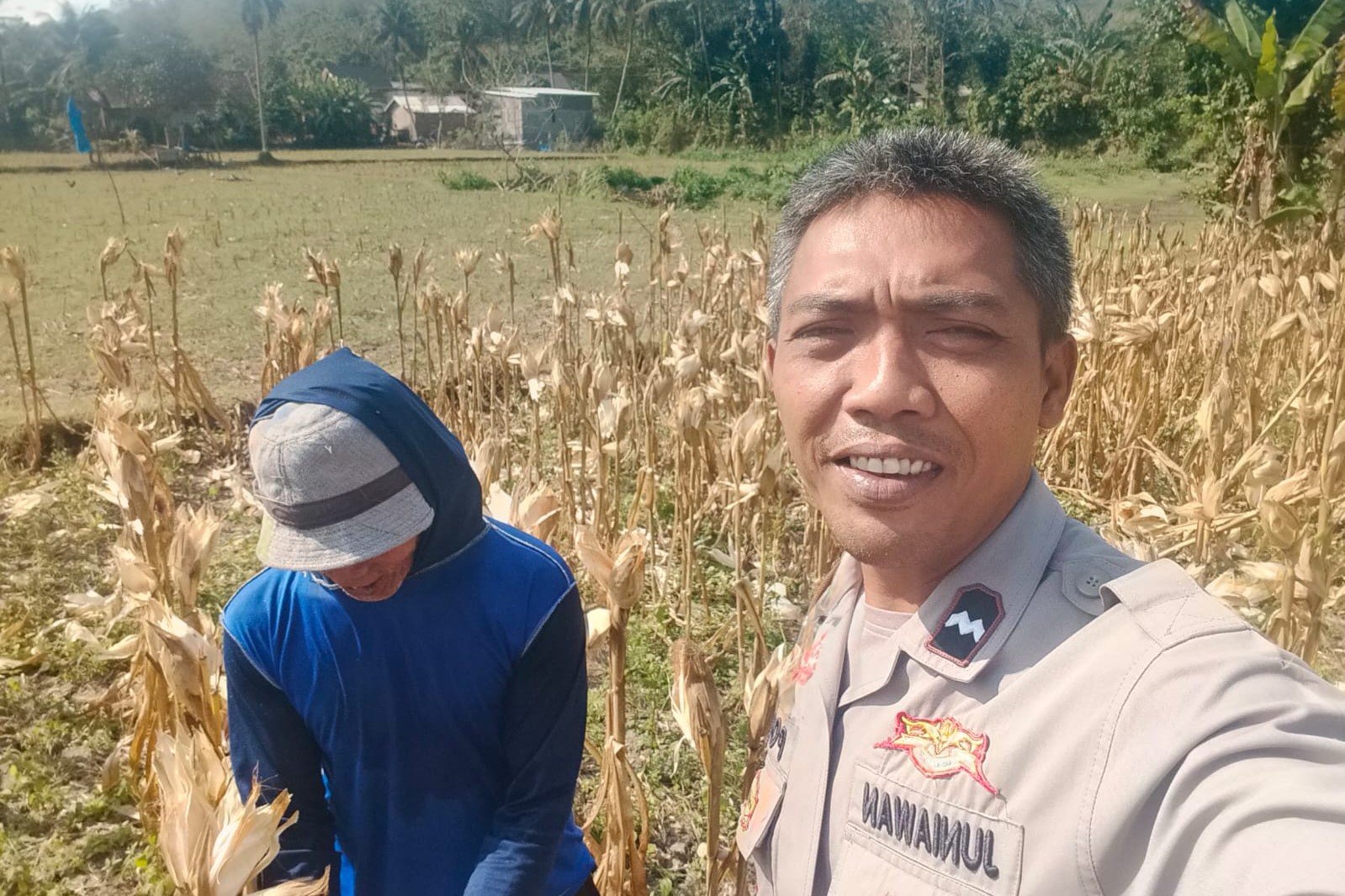 Sinergi Polri dan Petani Jagung Eyat Mayang Perkuat Ketahanan Pangan Nasional