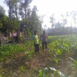 Kolaborasi Polisi dan Petani di Jagaraga untuk Wujudkan Lumbung Pangan Lokal