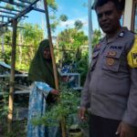 Polsek Batulayar Dorong Program Ketahanan Pangan lewat Edukasi di Senggigi