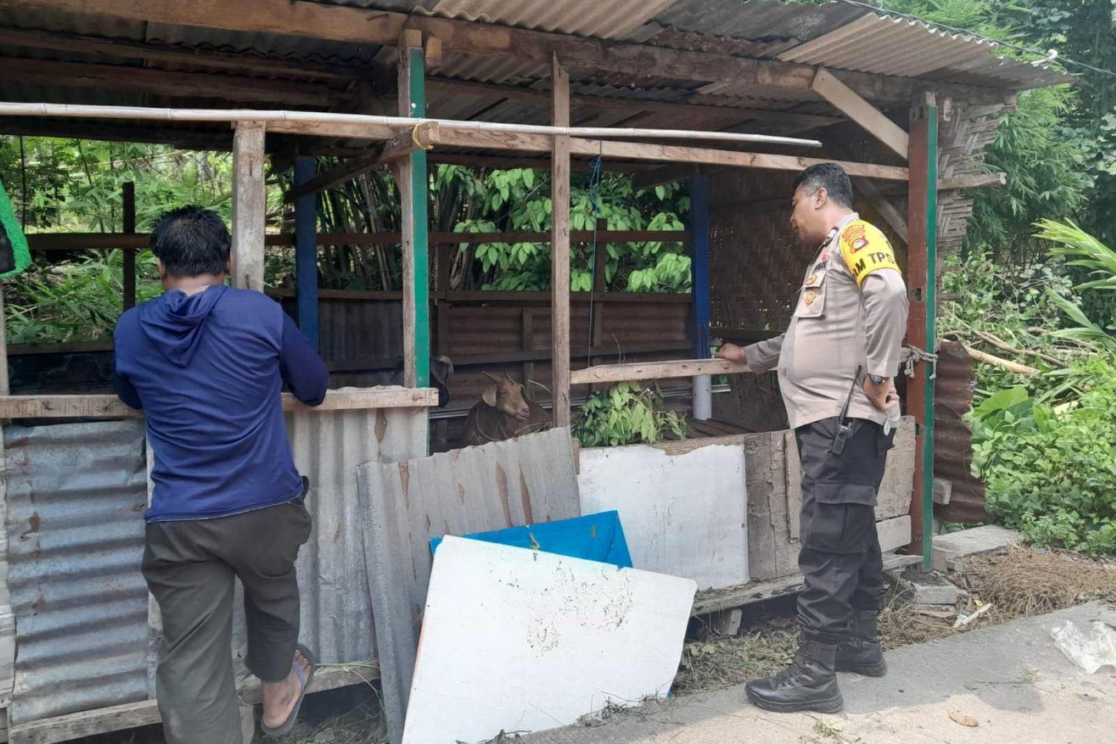 Sinergi Polri dan Warga Senggigi, Tanam Sayuran di Lahan Kosong untuk Perkuat Ekonomi Keluarga