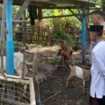 Ketahanan Pangan Desa Senggigi Didukung Inisiatif Bhabinkamtibmas Polsek Batulayar