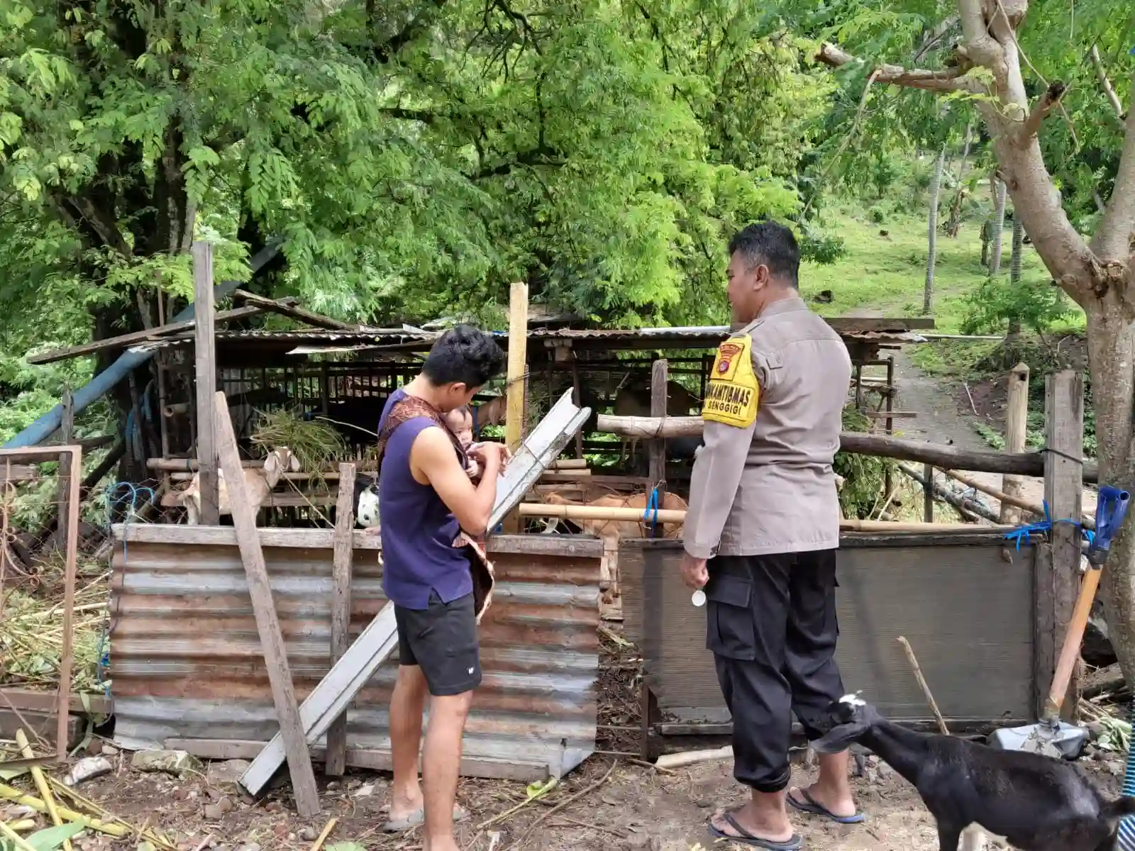 Sinergi Polsek Batulayar dan Warga Senggigi Wujudkan Desa Mandiri Pangan