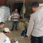 Kualitas Jagung Batulayar Capai Standar BULOG, Polsek Apresiasi Petani