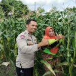 Sinergi Polri dan Warga Labuapi Wujudkan Kemandirian Pangan Keluarga