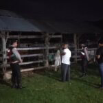 Apresiasi Warga Mengalir, Polisi Hadir di Tengah Sunyi Dini Hari Amankan Hewan Ternak