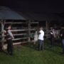Apresiasi Warga Mengalir, Polisi Hadir di Tengah Sunyi Dini Hari Amankan Hewan Ternak
