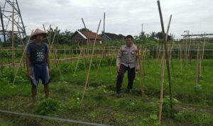 Sinergi Polri dan Petani Jagaraga Wujudkan Kemandirian Pangan
