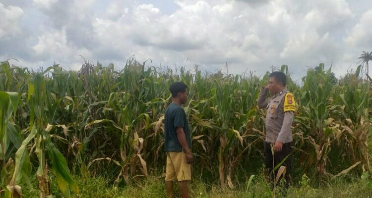 Sinergi Polri dan Warga Wujudkan Kemandirian Pangan di Lombok Barat